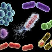 Clases para rendir parcial y final de Infectología. Soy médica especialista en Infectología graduada en la UNLP